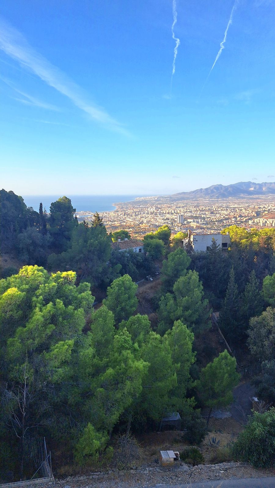 02cc430308820aec7e6836364f68ea7d - 25