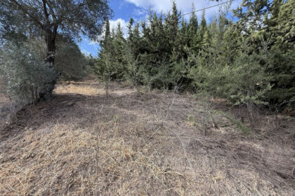 03a29de384adbec3a74a6831db1c3c74 - 36