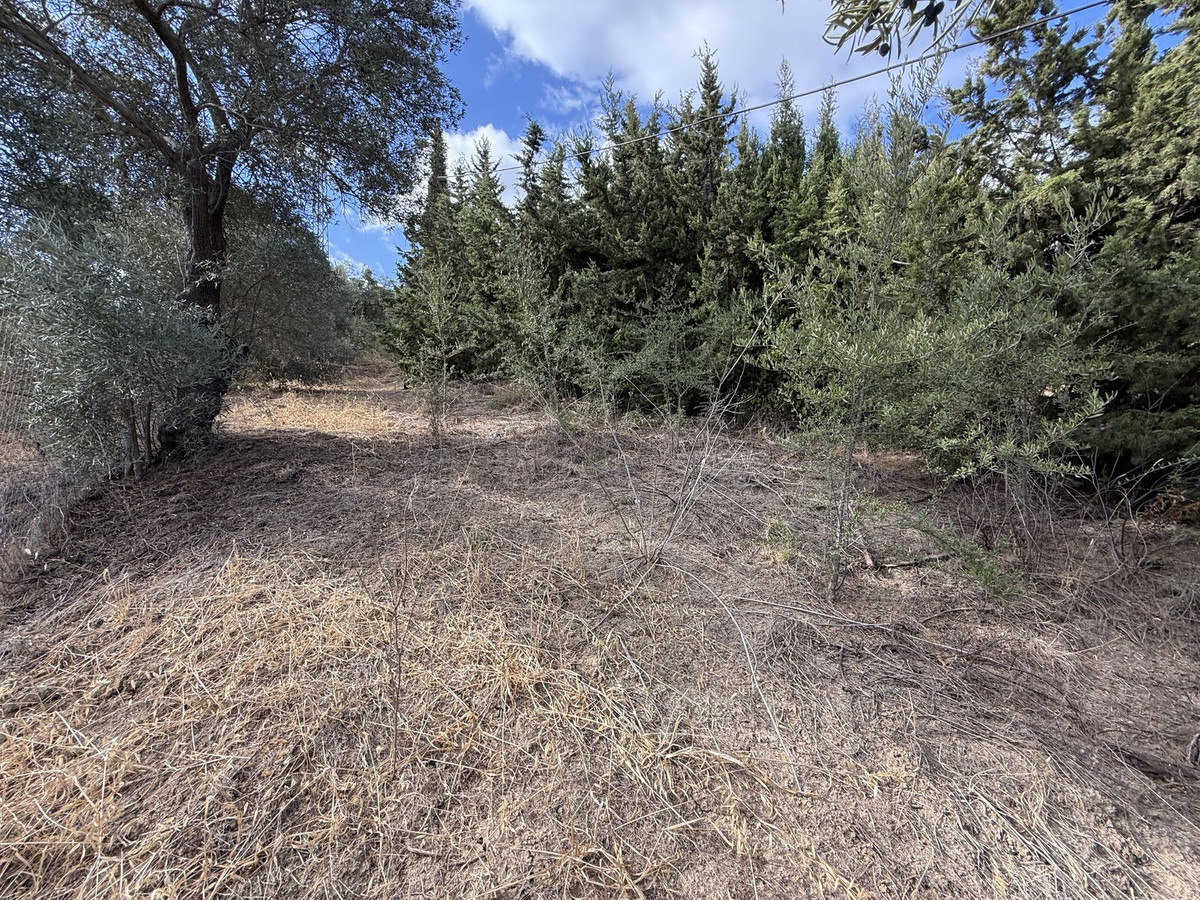 03a29de384adbec3a74a6831db1c3c74 - 36