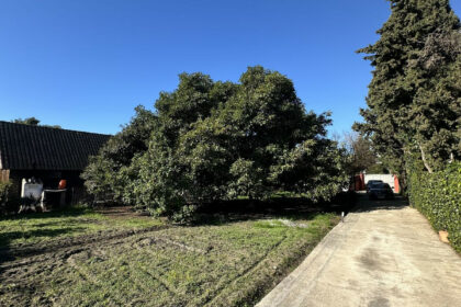 03d9c788e3cf144159c6b7dd72083168 - 13