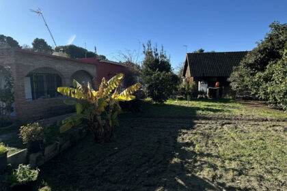 03d9c788e3cf144159c6b7dd72083168 - 37