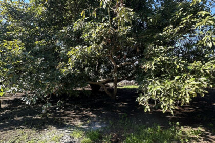 03d9c788e3cf144159c6b7dd72083168 - 41