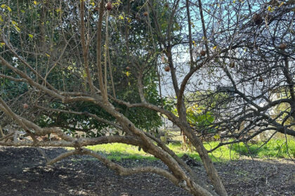 03d9c788e3cf144159c6b7dd72083168 - 42