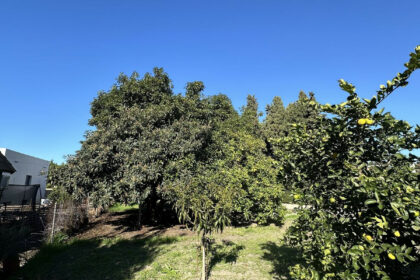 03d9c788e3cf144159c6b7dd72083168 - 9