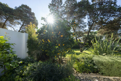 046bb08b454a99d21f83447e4590ef4b - 14