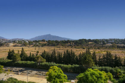 048215d9f452b2e01a9462cc436f5068 - 19