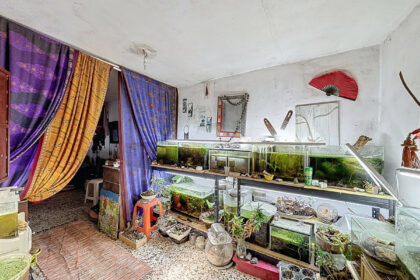 0677d0ffad2eae140732e1dd8a7b877b - 13