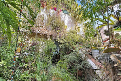 0677d0ffad2eae140732e1dd8a7b877b - 23