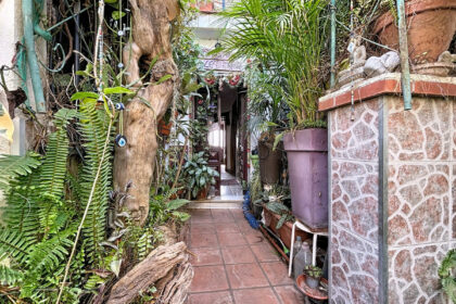 0677d0ffad2eae140732e1dd8a7b877b - 24