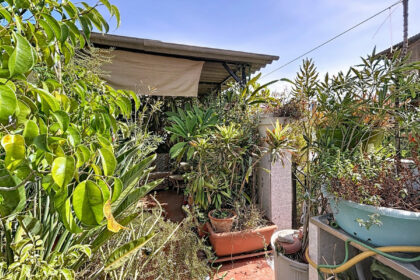 0677d0ffad2eae140732e1dd8a7b877b - 28