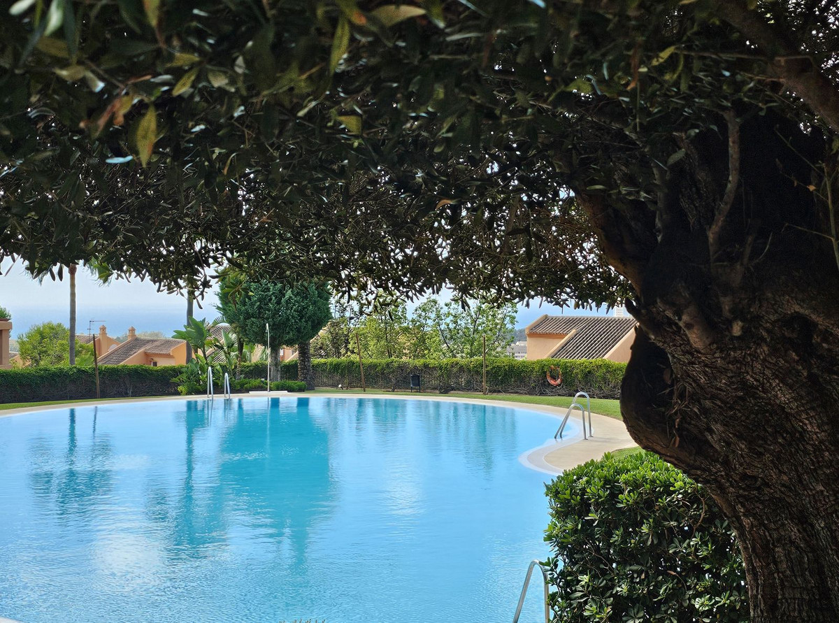 07394005e82b4615abf569d4137664ca - 22