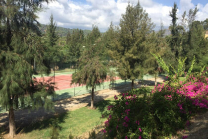 07403a7b6a0f441c763a2baefb1924ff - 39