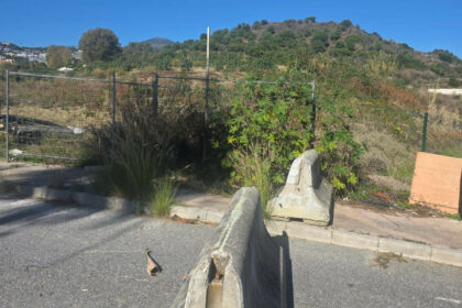 080a93cea49f3bb67b36fcb5b425e8ac - 4