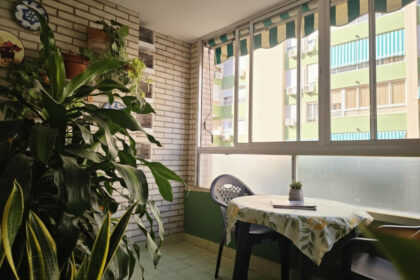 0a1806673a301572975190f86657a7e1 - 12