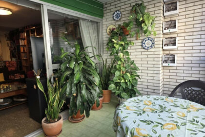 0a1806673a301572975190f86657a7e1 - 13