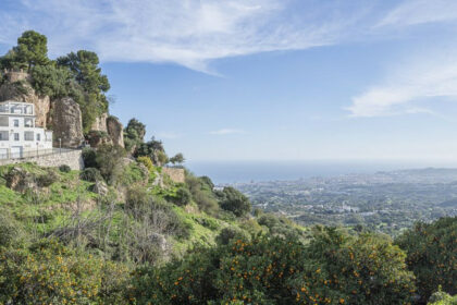 0f29411c45349e1489cfa2f56c59970a - 55