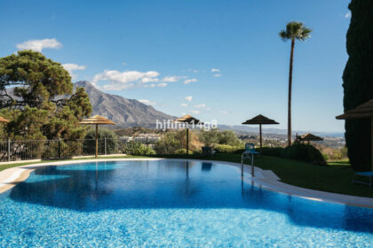 0fc73ef0f074e7a2143bbc47fb7f8b6d - 17