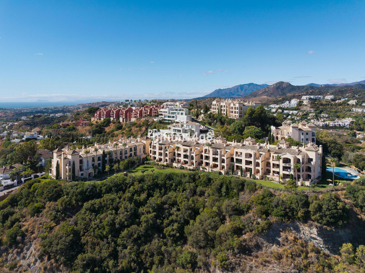 0fc73ef0f074e7a2143bbc47fb7f8b6d - 21