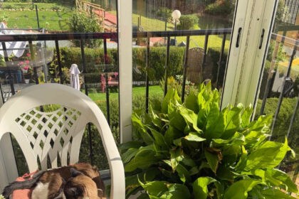 1196f8fefa232c6c70fef92e37b2f693 - 14