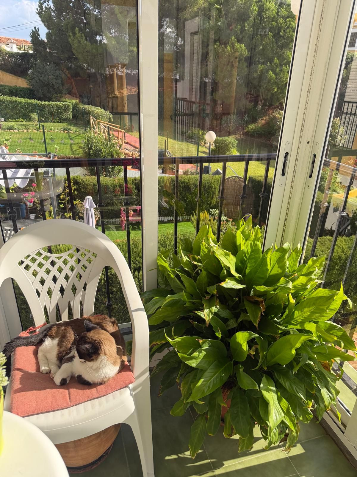 1196f8fefa232c6c70fef92e37b2f693 - 14