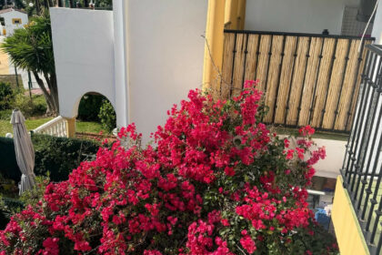 1196f8fefa232c6c70fef92e37b2f693 - 8