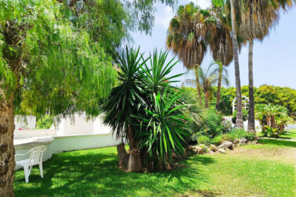 11d4cc01569e26d4ff9723edf4c4f3e8 - 76