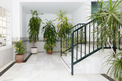 11e732edccc2002ea98e25ac8b3c9912 - 6