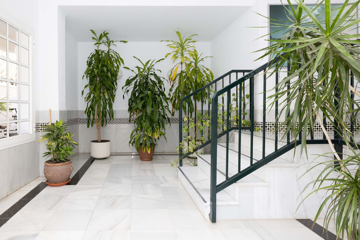 11e732edccc2002ea98e25ac8b3c9912 - 6