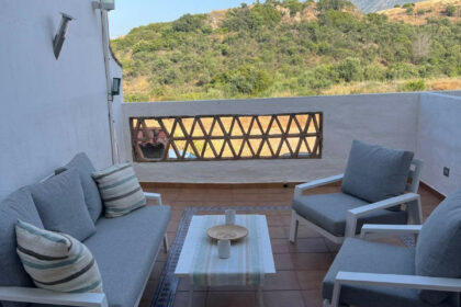 11e8a81285fc1cf145626fe939cb7066 - 12