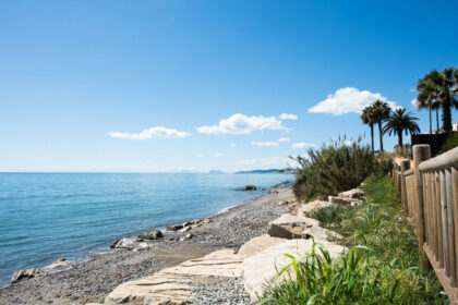 11f666655b5a5d336c3958dc02e1be54 - 16