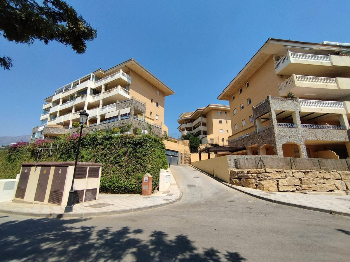 12e1a995ac0ed1bc30de6a89dfeb347a - 24