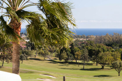 13b68b14343c2261474f3497a88e3e9f - 23