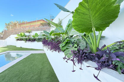 146a6f39bfcaea9dc01a939996e46b33 - 27