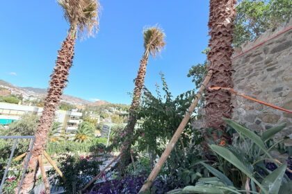 146a6f39bfcaea9dc01a939996e46b33 - 9