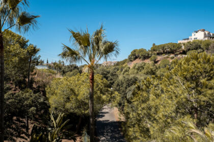 152abcab9b5b919d005050bb9492934c - 20