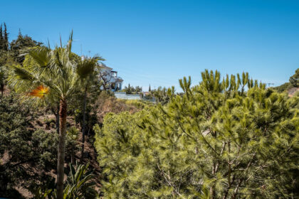 152abcab9b5b919d005050bb9492934c - 21