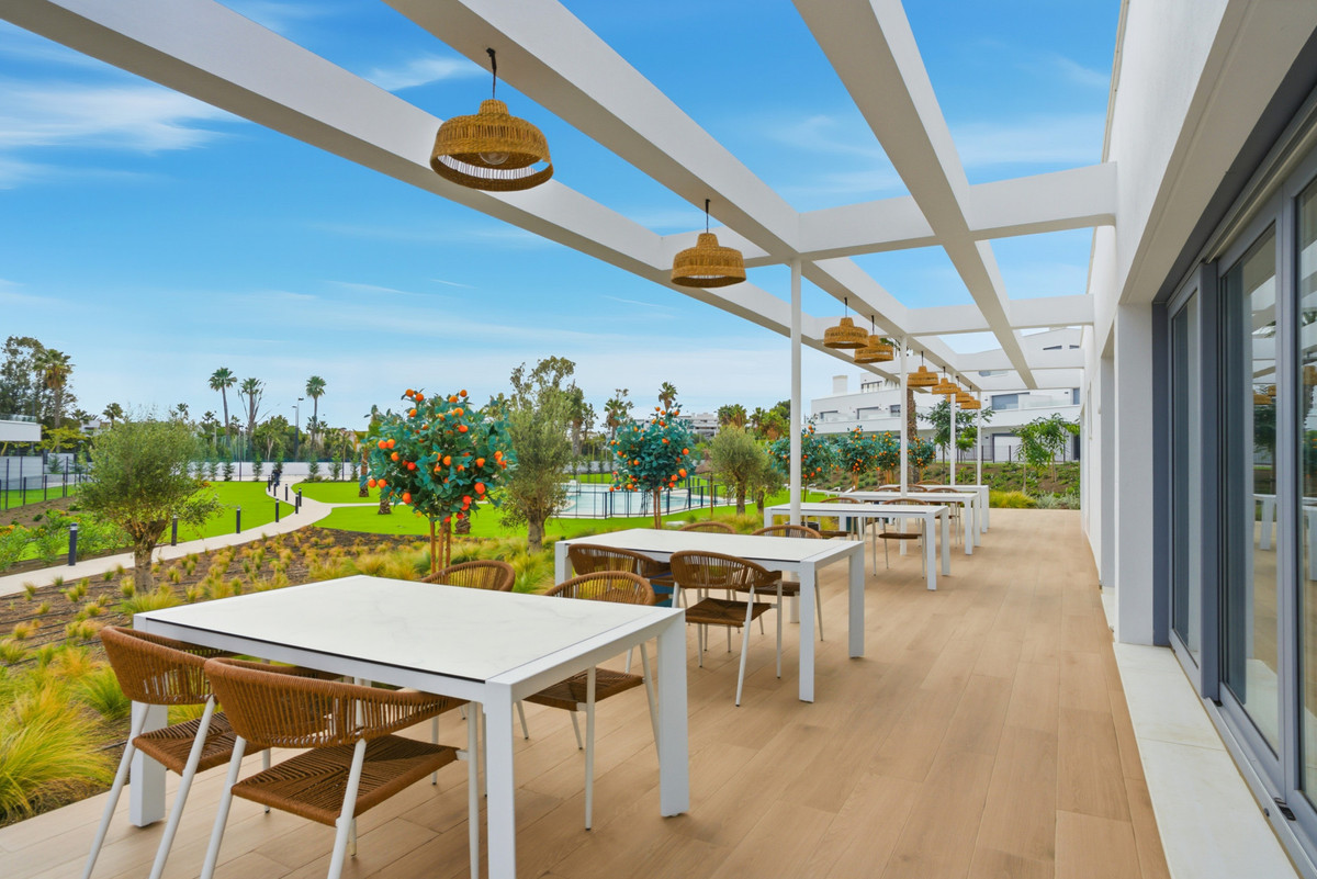 1531393a59b0887575c1ce7cad4a8085 - 23