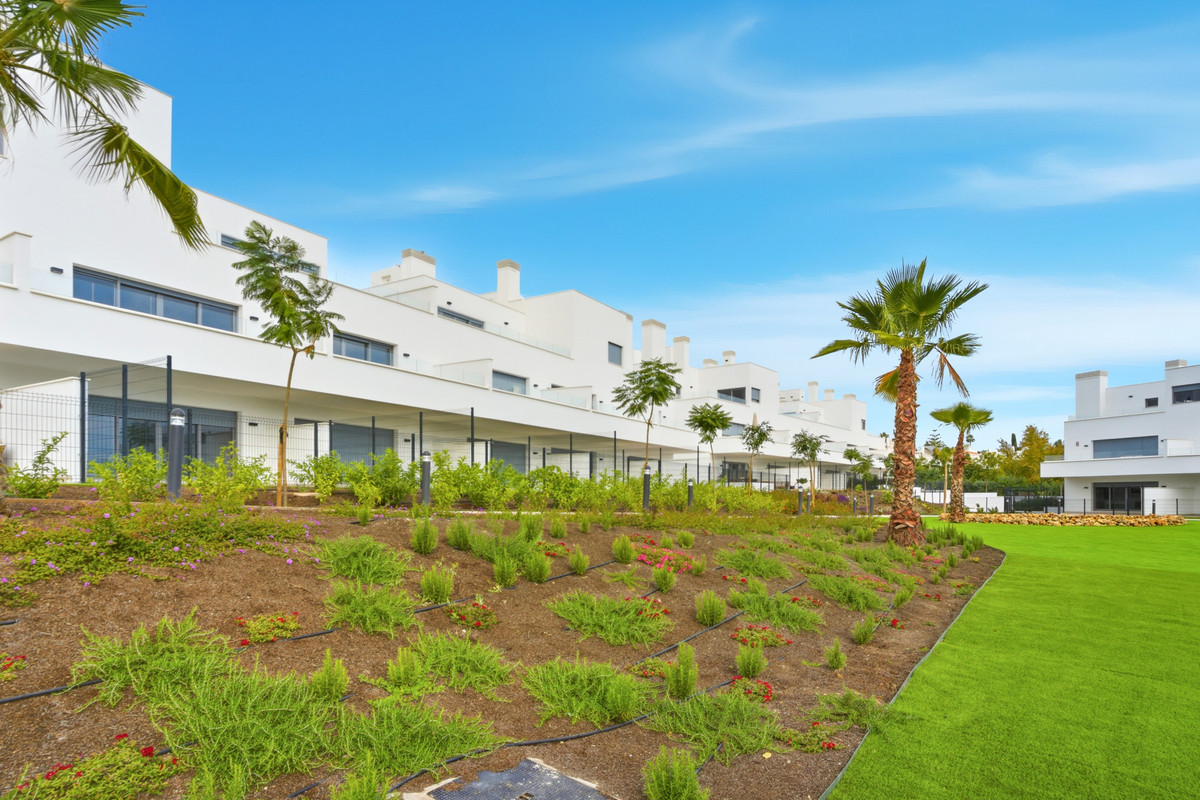 1531393a59b0887575c1ce7cad4a8085 - 24