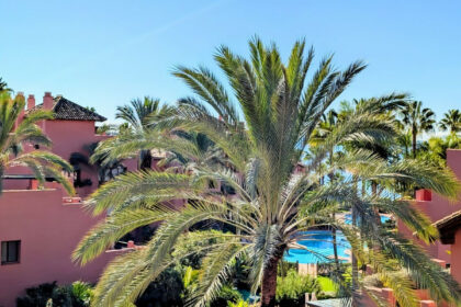 174c562c59cc9022683c4c081b49314c - 16