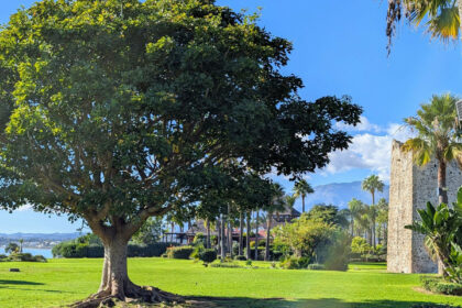 174c562c59cc9022683c4c081b49314c - 56