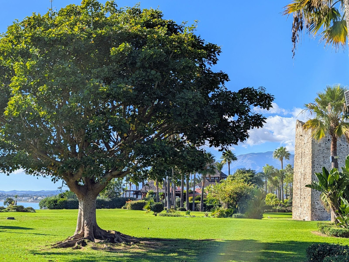 174c562c59cc9022683c4c081b49314c - 56