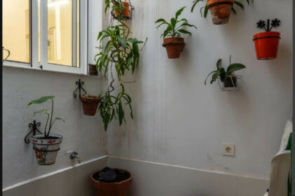 18d5906bfbc24d4e2fb2f243b3d76189 - 11