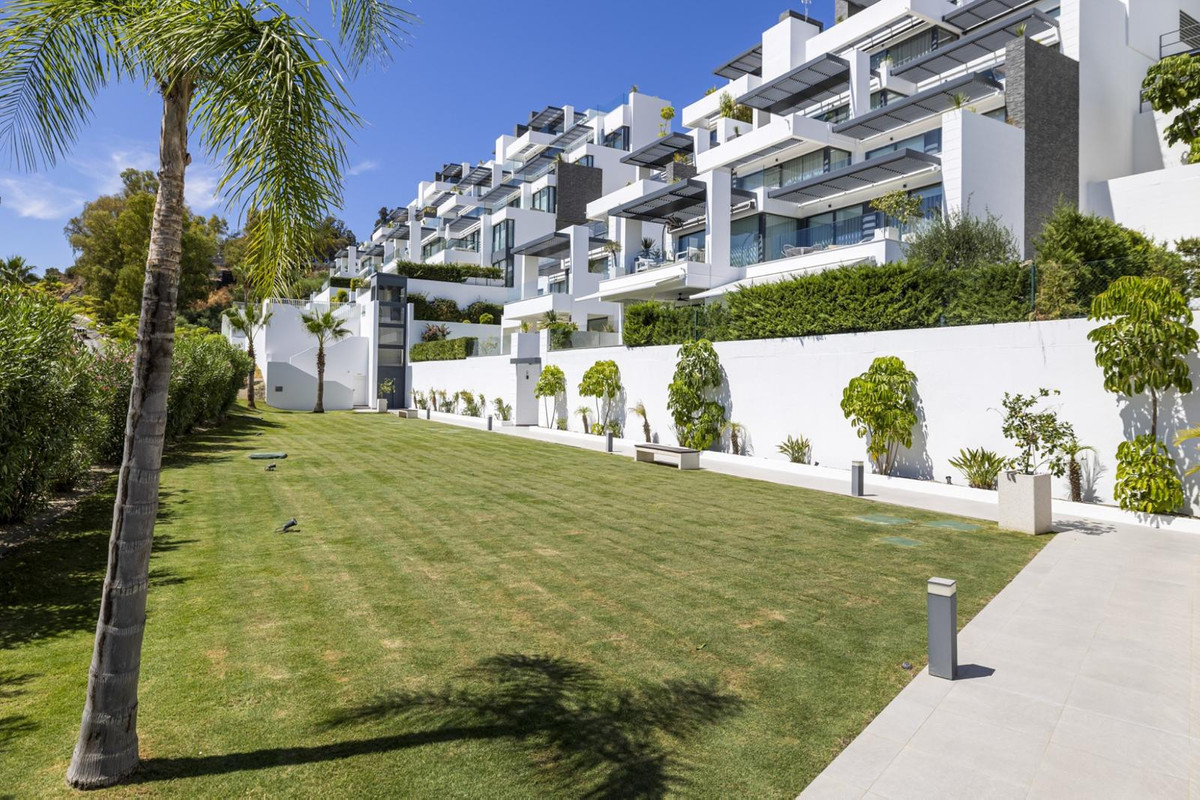 1937474d865711c12c66e27259db6885 - 25