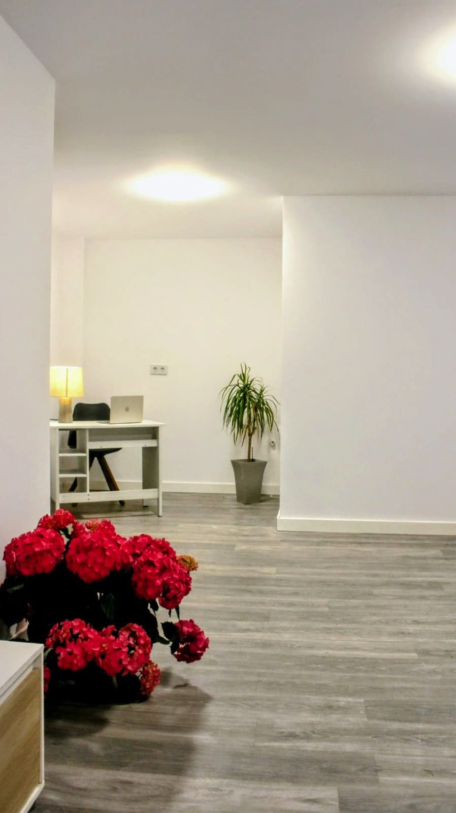 19729e0942d992dffb1c523687d022c4 - 12