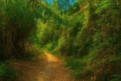 19729e0942d992dffb1c523687d022c4 - 40