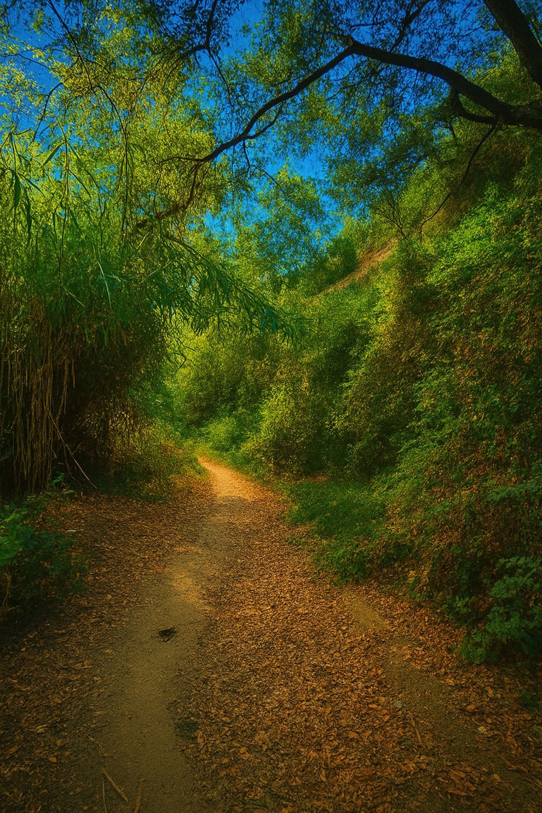 19729e0942d992dffb1c523687d022c4 - 40