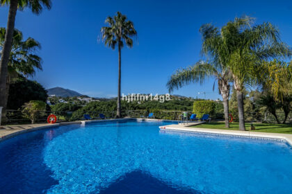 1d5be55fbb9a03648f29d29528677b16 - 32