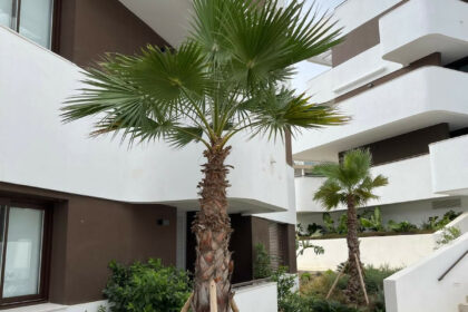 1eb314a5da9888a6438a25cca53765d5 - 23