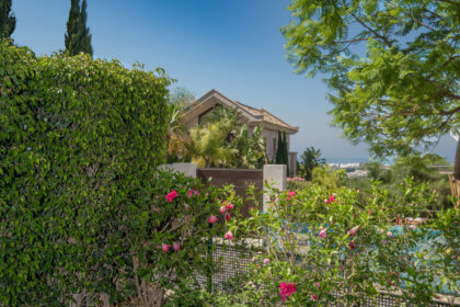 1ee5f2c76a751bbbf6b6f8242e17b601 - 22