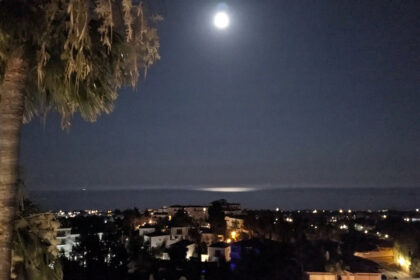 1f394f0cfb71199c64202bbbbc510a93 - 29